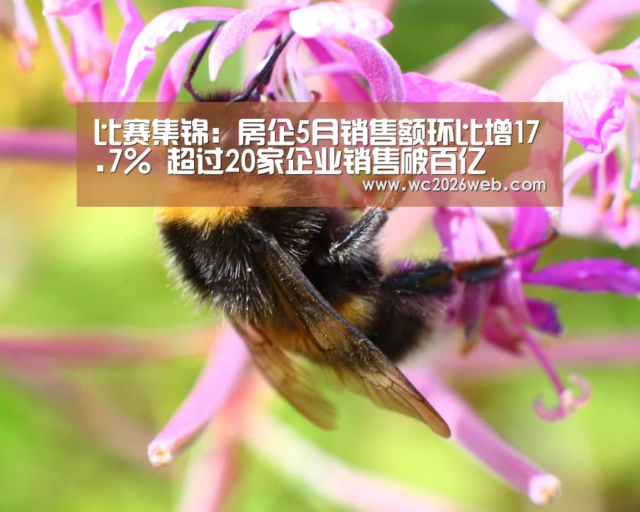 比赛集锦:房企5月销售额环比增17.7% 超过20家企业销售破百亿(图2) 世界杯直播