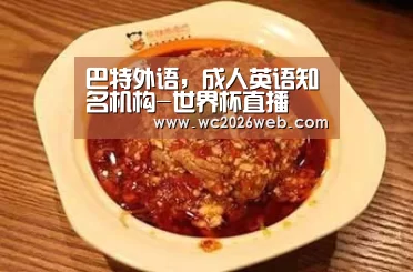 巴特外语,成人英语知名机构-世界杯直播(图3) 实时比分
