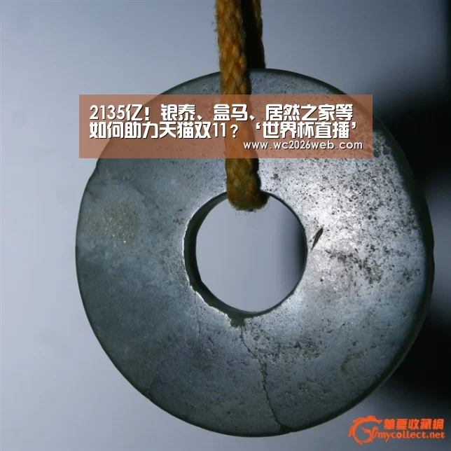 2135亿!银泰、盒马、居然之家等如何助
