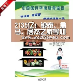 2135亿!银泰、盒马、居然之家等如何助力天猫双11?‘世界杯直播’(图3) 比赛集锦