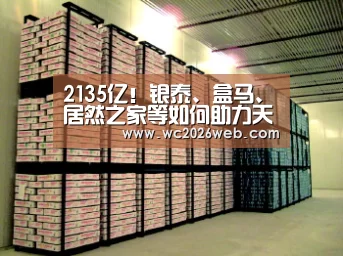 2135亿!银泰、盒马、居然之家等如何助力天猫双11?‘世界杯直播’(图4) 实时比分