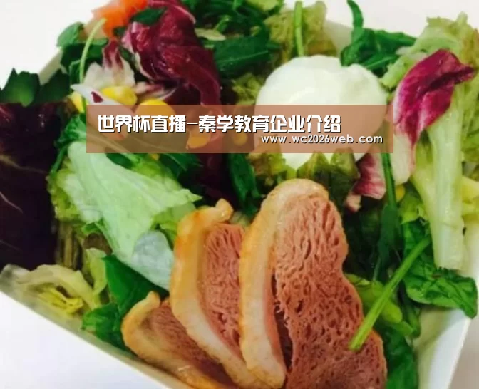 世界杯直播-秦学教育企业介绍(图1) 实时比分