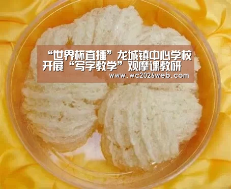 比赛集锦