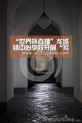 世界杯直播